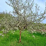 Les Pommiers D'amfreville, D'hotes & Table D'hotes B&B