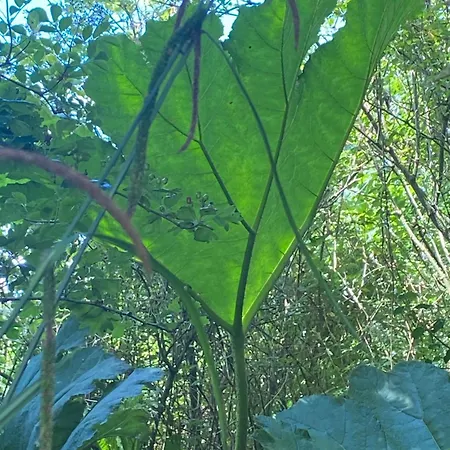 Les Pommiers D'amfreville, D'hotes & Table D'hotes Bed & Breakfast 3*