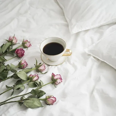 Les Pommiers D'amfreville, D'hotes & Table D'hotes 3*