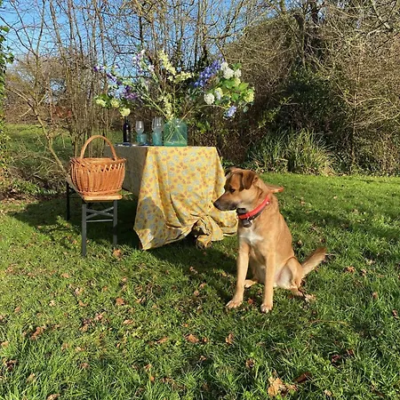 Les Pommiers D'amfreville, D'hotes & Table D'hotes Bed & Breakfast 3*