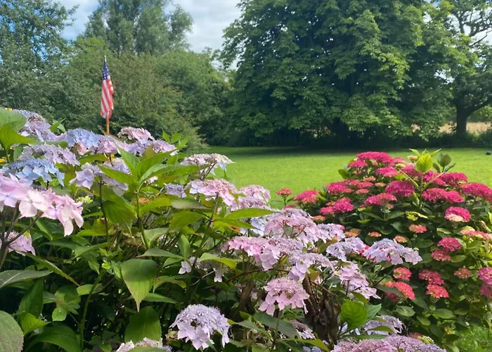 Bed & Breakfast Les Pommiers D'amfreville, D'hotes & Table D'hotes