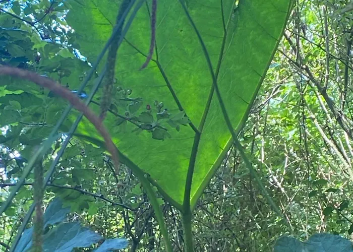 Les Pommiers D'amfreville, D'hotes & Table D'hotes Bed & Breakfast 3*