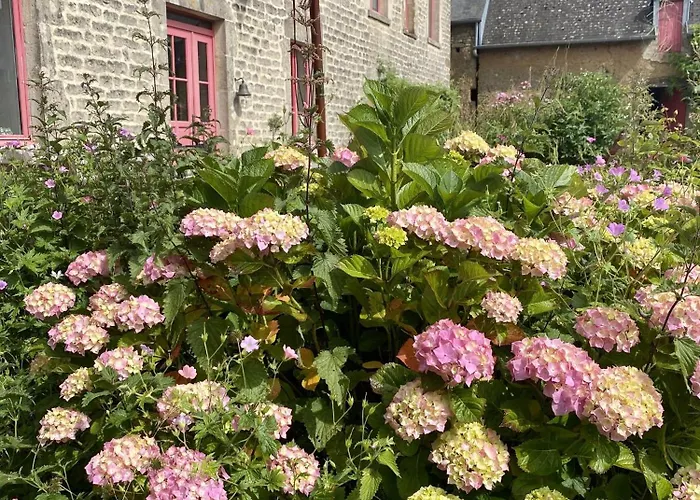 Bed & Breakfast Les Pommiers D'amfreville, D'hotes & Table D'hotes