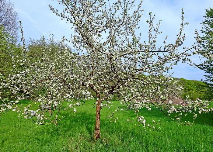 Les Pommiers D'amfreville, D'hotes & Table D'hotes Bed & Breakfast