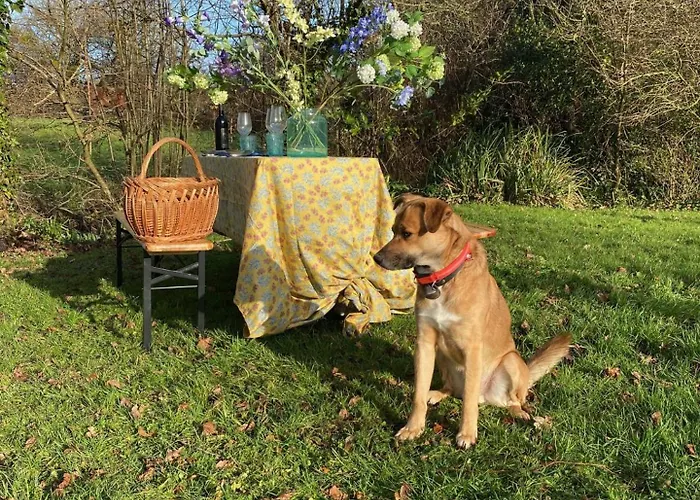 Les Pommiers D'amfreville, D'hotes & Table D'hotes Bed & Breakfast 3*